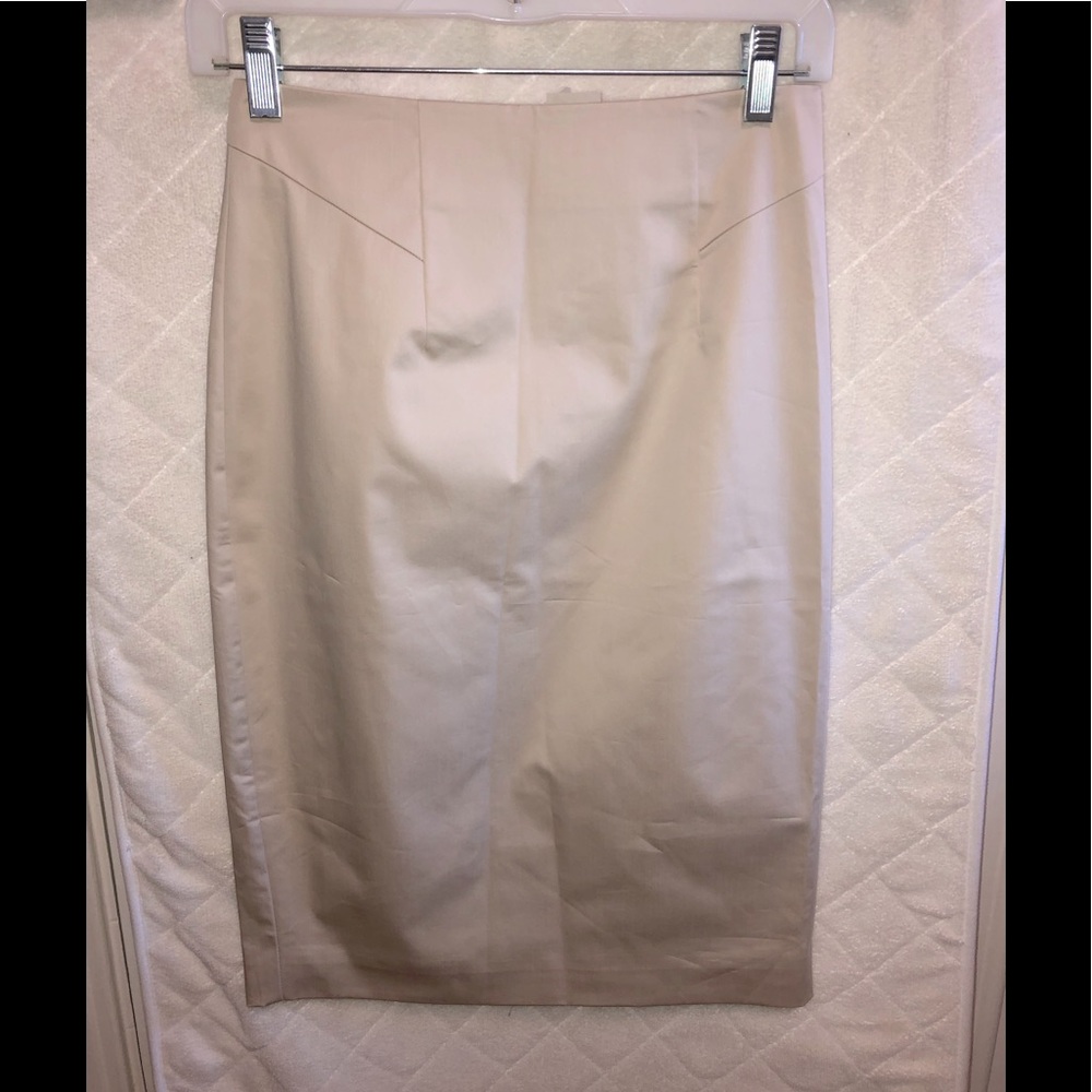 Ann Taylor Pencil Skirt NWT